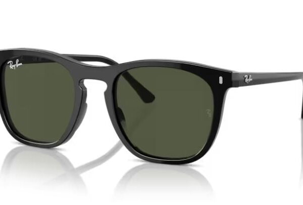 Ray Ban Sonnenbrille RB 2210 901/31 53/21