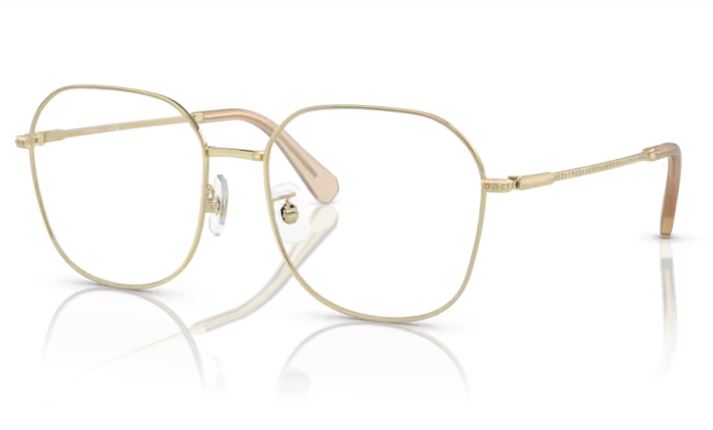 sk1009d-4013